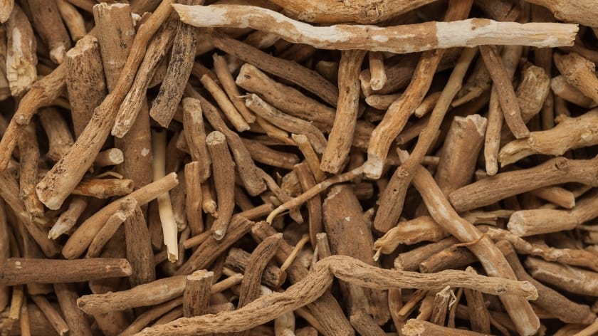 Ashwagandha root is a primary adaptogen, and ashwagandha tea is great for health and fitness.