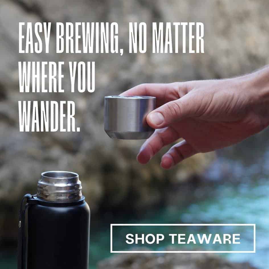 Can you bring kratom on a plane? Easily travel with a kratom tea thermos