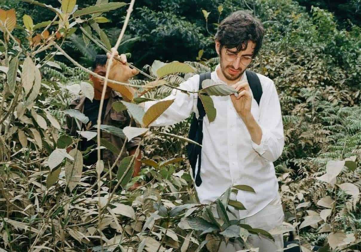 Hamilton Morris explores wild kratom trees in Southeast Asia